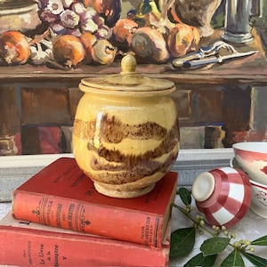 May include: A yellow ceramic jar with a lid featuring horizontal brown brushstroke patterns. The jar sits atop two stacked red books, one titled Le Livre de la Ménagère, alongside a small red and white checkered bowl and a green leafy sprig.