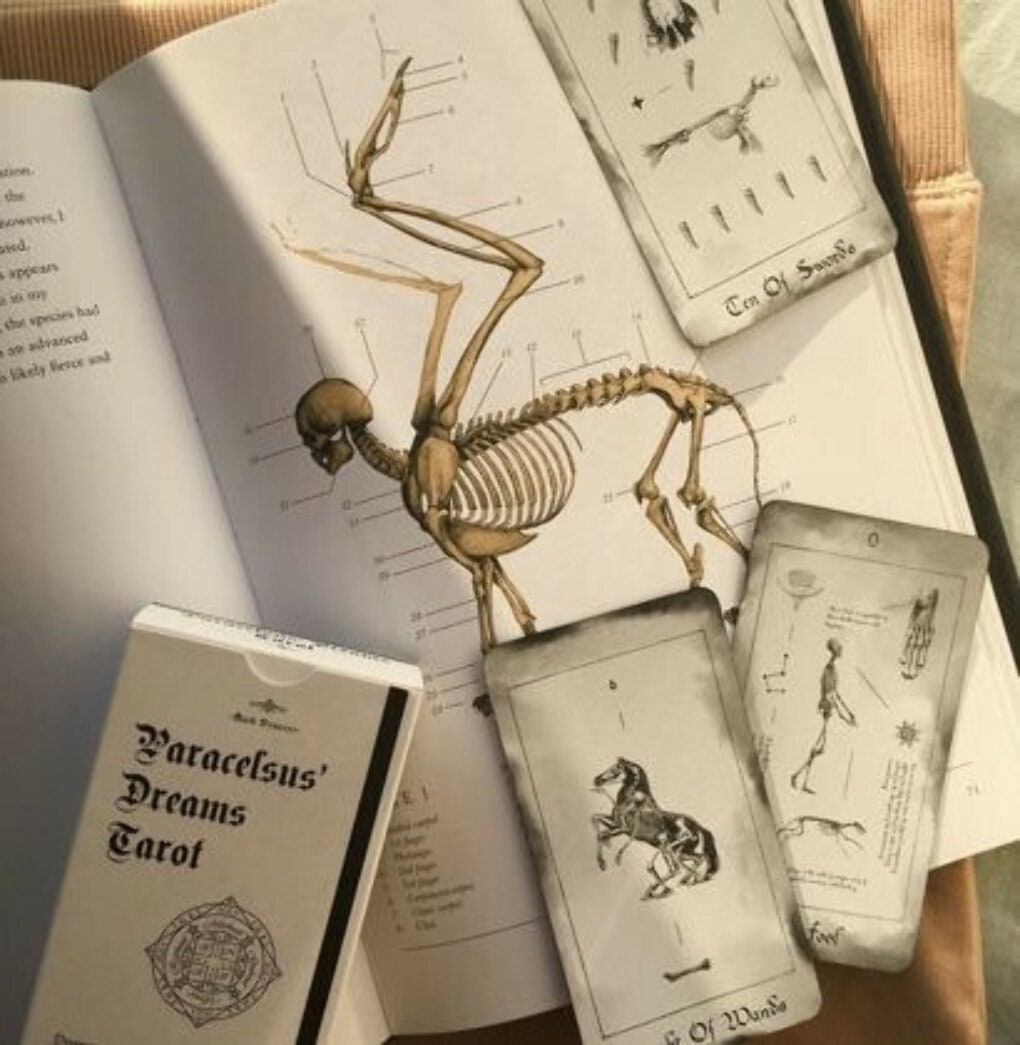 Bones Tarot - Etsy