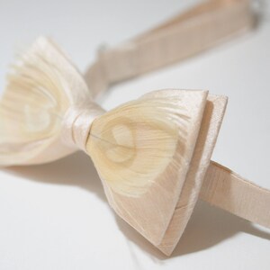 May include: A cream-colored bow tie with a textured, feather-like pattern. The bow tie is made of a soft, silky fabric.