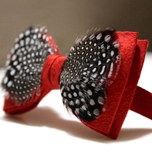 Red Feather Bow Tie: Silk Wedding Bowtie for Men