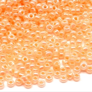 Rockery Beads 2mm Vetro Trasparente Rosa Salmone 20g Circa 1600 pz