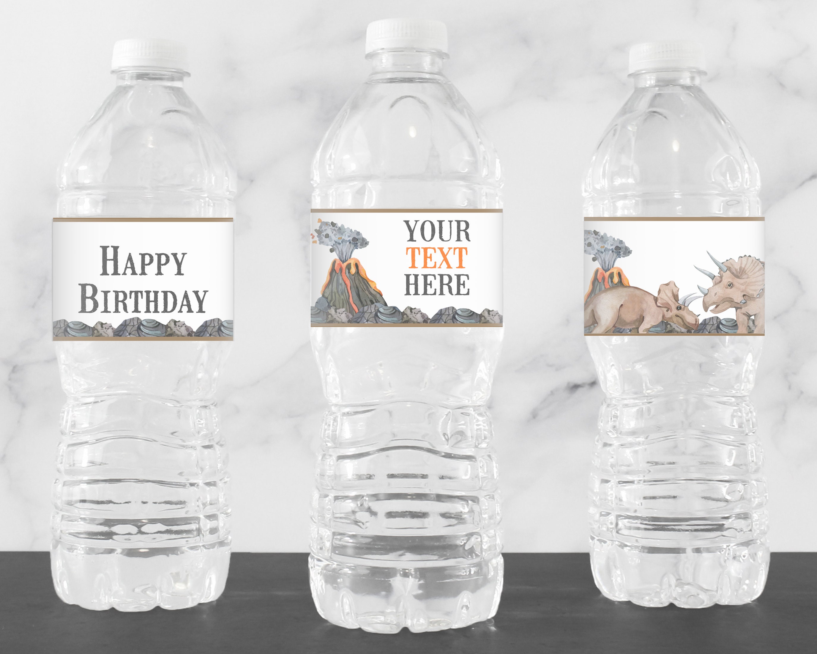 Editable Dinosaur Water Bottle Labels, Dinosaur Birthday Party ... Editable Dinosaur Water Bottle Labels, Dinosaur Birthday Party ...