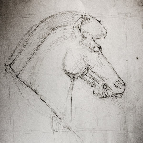 Cheval de tête de statue « Bucéphale » fusain esquisse étude dessin Original sur papier noir et blanc