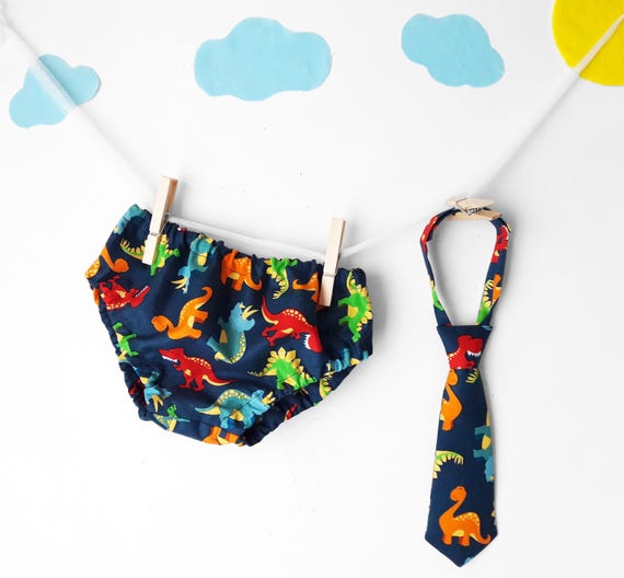 cake smash dinosaur outfit