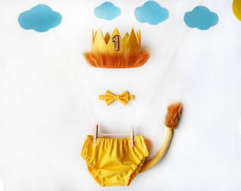 Lion cake smash outfit boy, King of the jungle 1st birthday outfit, cake smash outfit boy, lion 1st birthday boy, wild one 1st birthday boy
