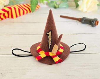 Wizard birthday hat, 1st birthday wizard hat, Halloween birthday party hat, wizard party hat, wizard  party hat, Harry P birthday hat,HP Hat