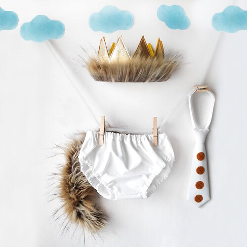 wild one smash cake outfit