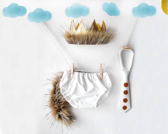 wild one cake smash outfit