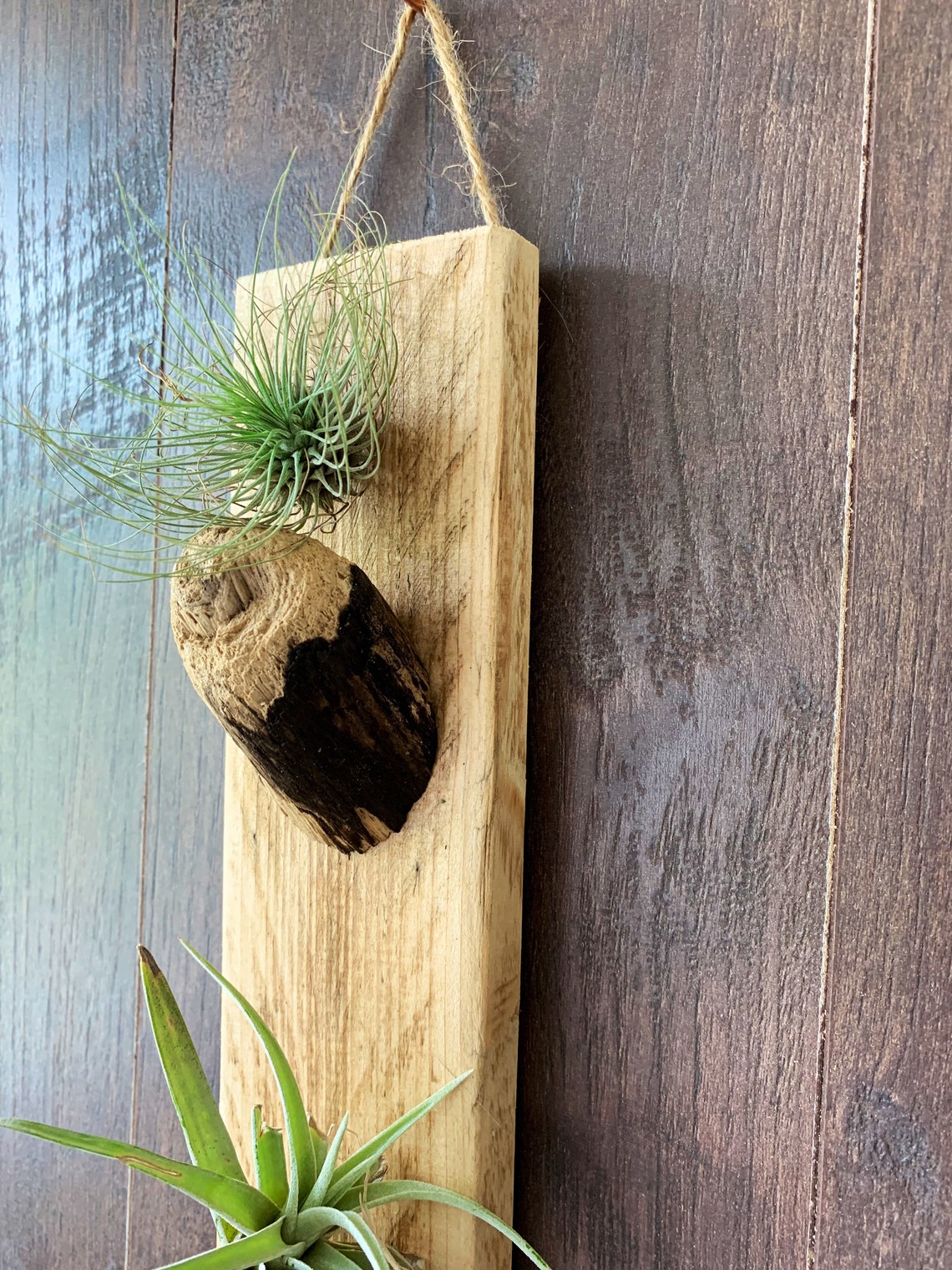 Air Plant Holder /wooden Air Plant Holder /rustic Air Plant Etsy UK