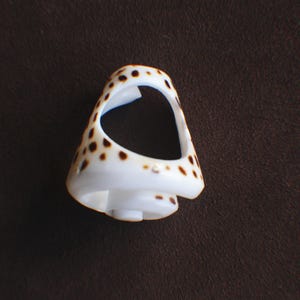 Può includere: Un anello bianco realizzato con una conchiglia, caratterizzato da una superficie liscia e lucida decorata con piccole macchie marrone scuro sparse. La fascia ha una forma ampia e affusolata con un'ampia apertura triangolare sulla parte superiore.