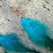 see more listings in the Hair feathers beads section