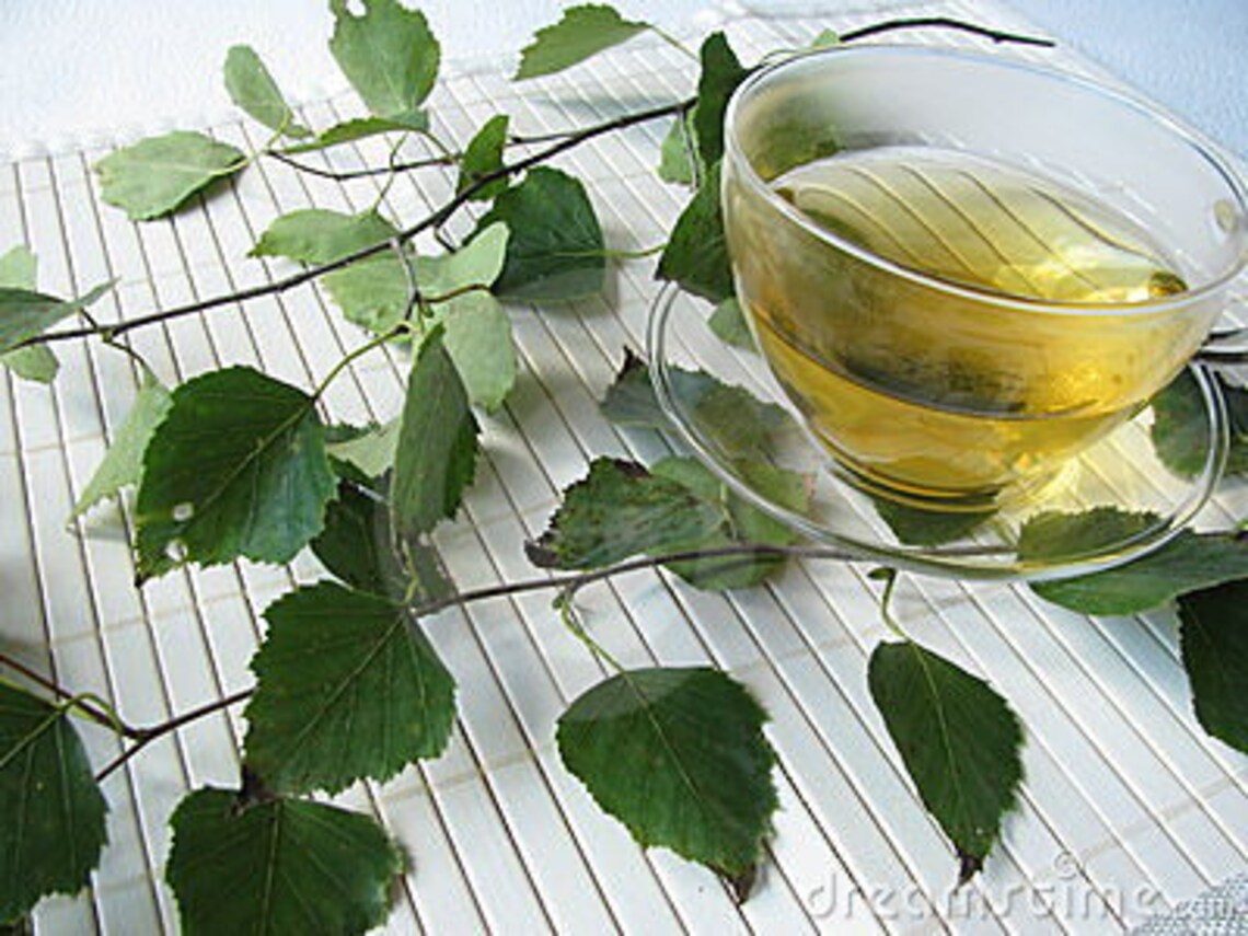 Organic Birch Tea Leaves Etsy Canada