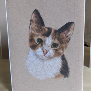 4x5.5 Calico Cat Note Cards. Prints from my Original artwork Set of 10