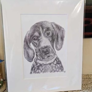 May include: A framed pencil drawing of a dog's head and shoulders. The dog has floppy ears, a dark muzzle, and a patterned collar. The artwork is in a white mat and sealed in a clear plastic sleeve.