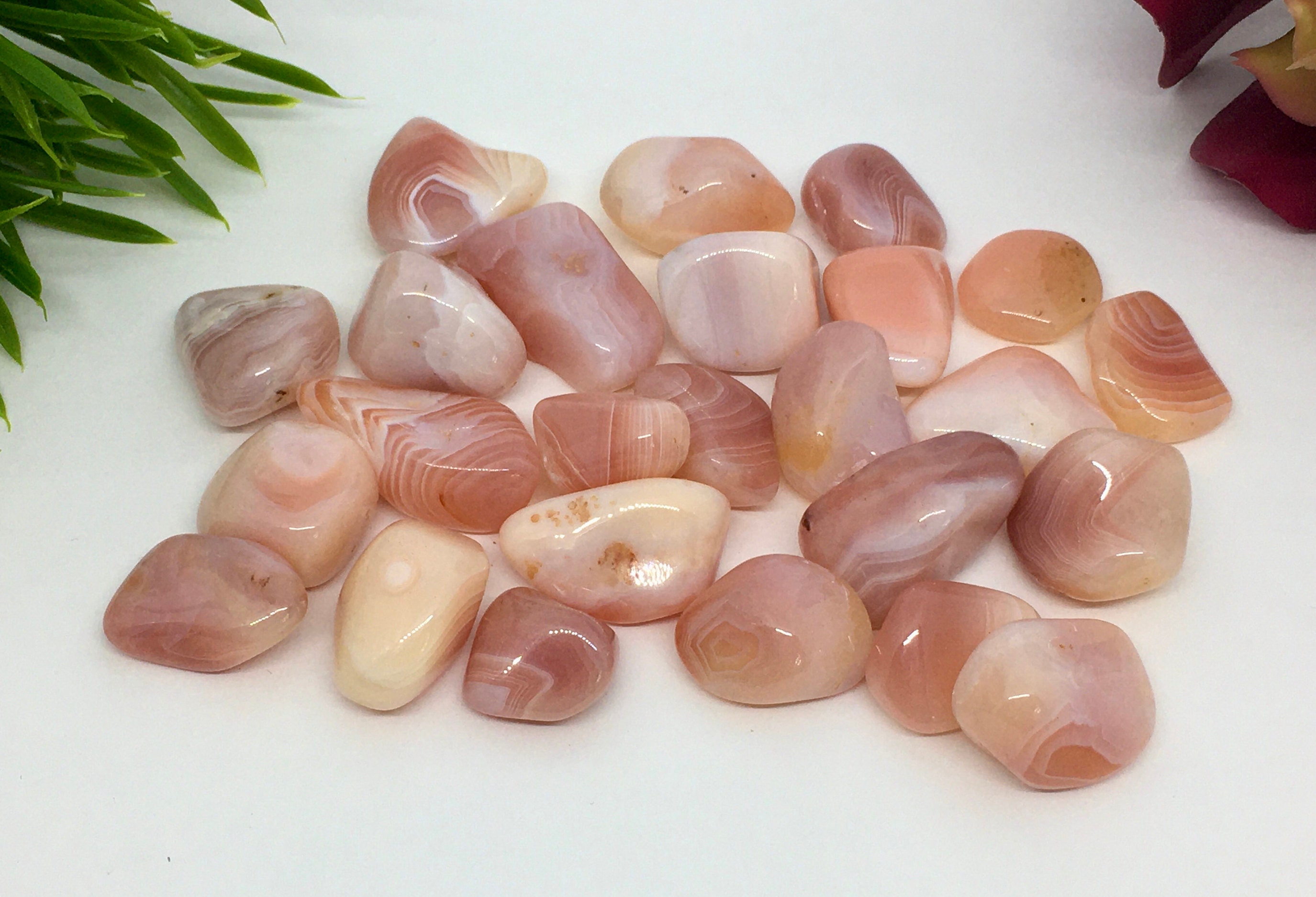 Apricot Agate 3 Tumbled Stones Gemstone Natural Stone Crystals Etsy