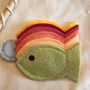 May include: A felt rainbow fish toy with a green body, black eye, and a rainbow tail made of layered felt in shades of yellow, orange, red, and pink.