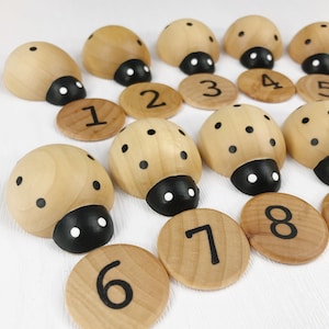 May include: Wooden ladybug toys with black dots and numbers 1 through 8 painted on them. The ladybugs are arranged in a circle on a white surface.
