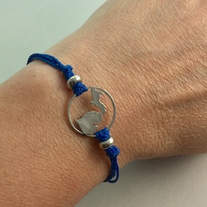 Op de afbeelding: Een blauw koordarmband met een zilveren bedel met een omtrek van de staat Michigan.