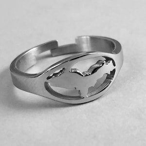 Puede incluir: Un anillo de plata con un diseño recortado del estado de Michigan.