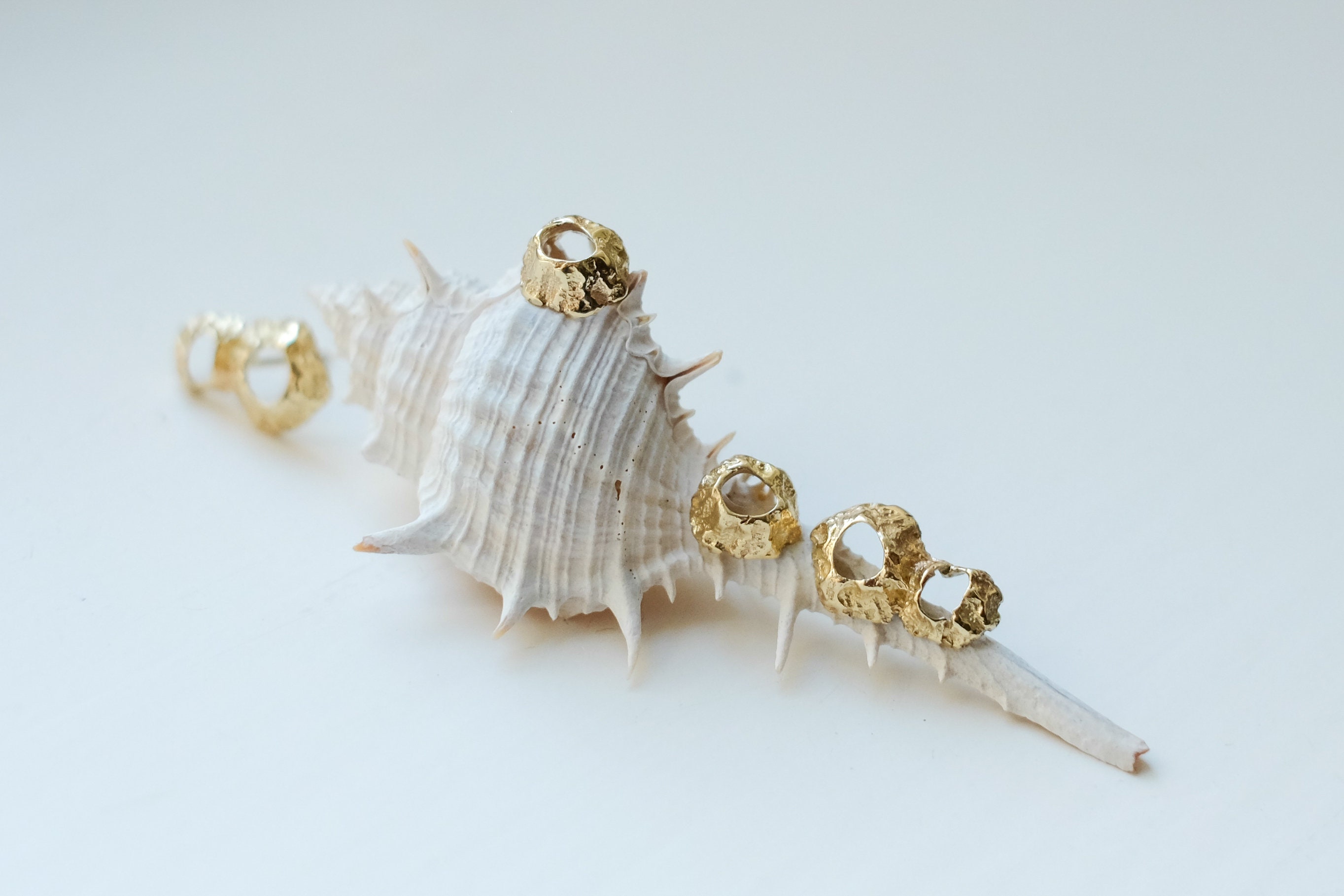 14k Solid Gold Earrings Gold Shell Earrings 14K Shell | Etsy