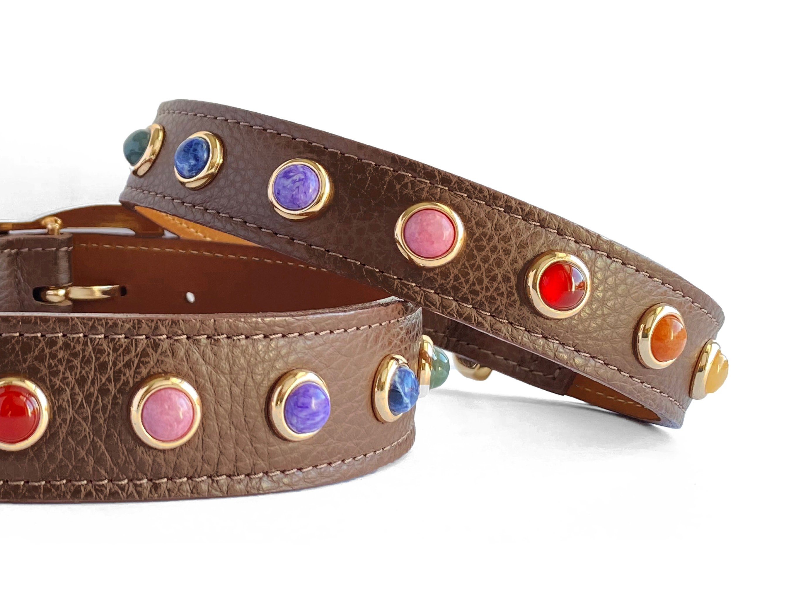 Dog collar store with stones