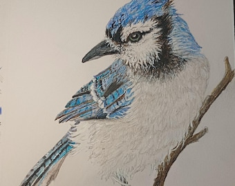 ブルージェイの鳥の絵 | 鳥のアートワーク | 手描き | 色鉛筆アート