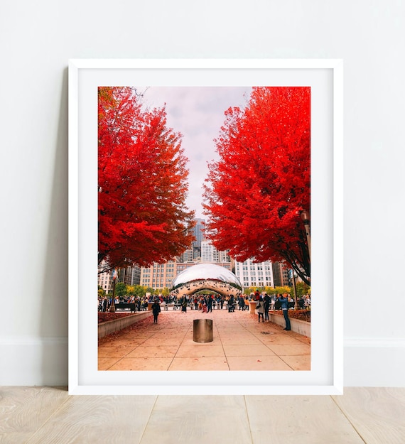 Chicago Bean Wall Art Cloud Gate Chicago Photography Etsy