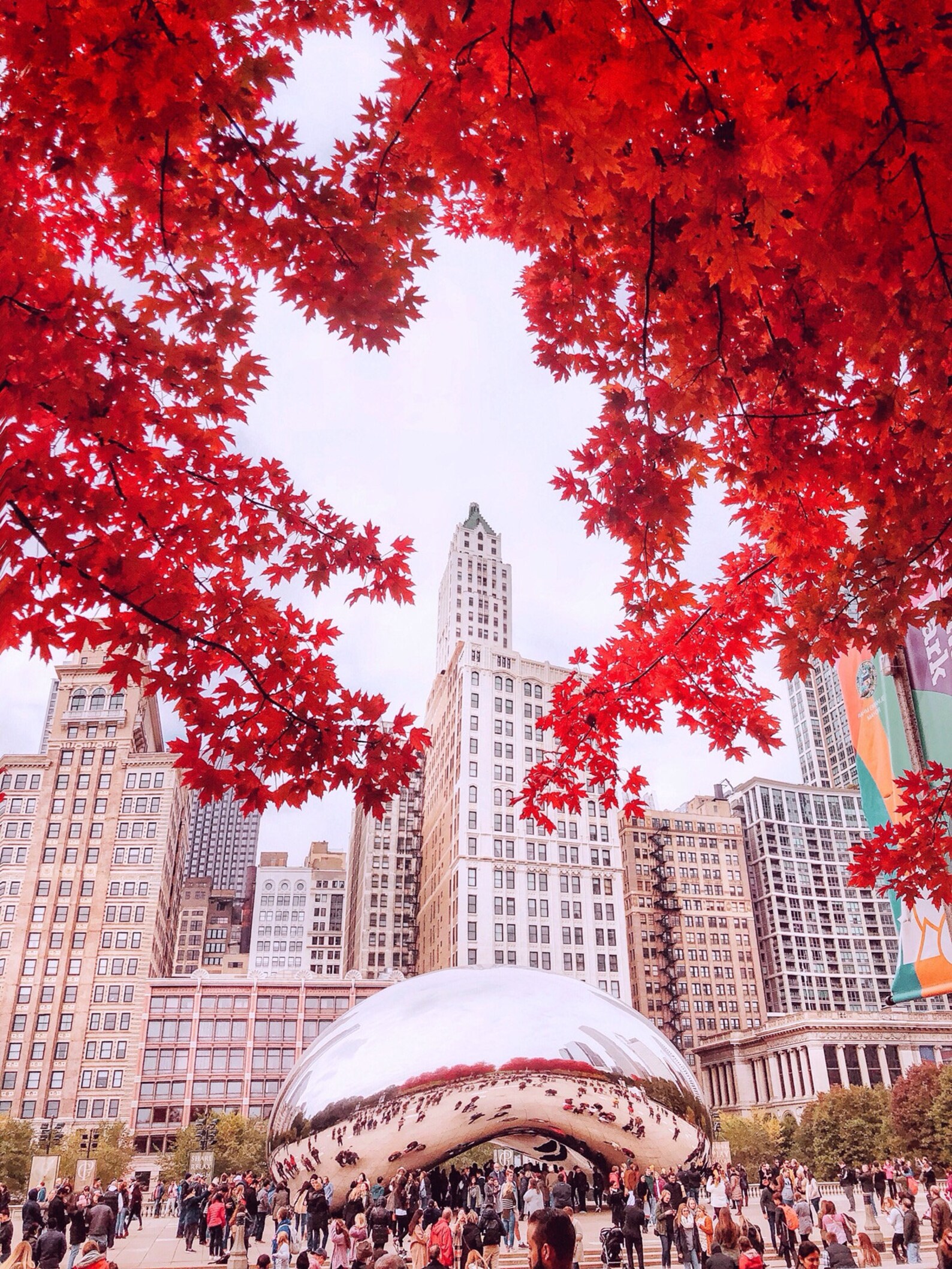 Chicago Bean Cloud Gate Autumn Photography Red Print Etsy