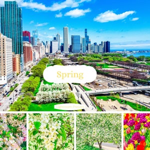 Spring Vibrant Lightroom Preset, Colorful Lightroom Preset, Pop Of Color Mobile Filter, Color Pop Preset, Instagram Preset, Photo Filter