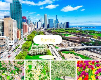 Spring Vibrant Lightroom Preset, Colorful Lightroom Preset, Pop Of Color Mobile Filter, Color Pop Preset, Instagram Preset, Photo Filter