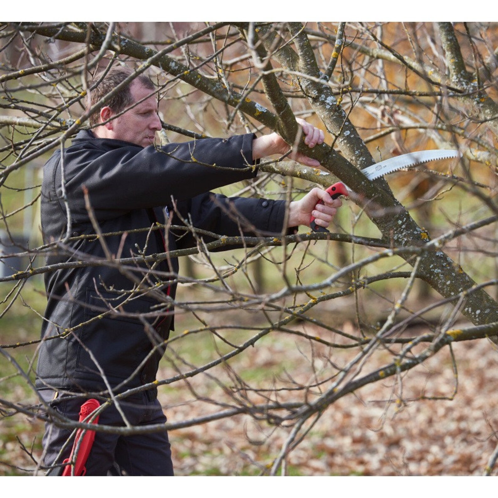 Felco Curved SAW Model 630 Pull Stroke Pruning Saw Genuine Etsy