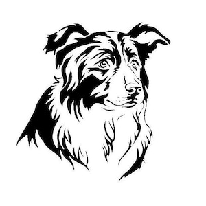 Stencils Crafts Templates Scrapbooking BORDER COLLIE Dog  STENCIL - A4 Mylar