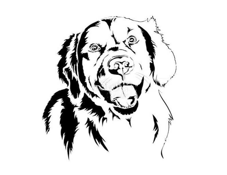 Stencils Crafts Templates Scrapbooking GOLDEN RETRIEVER Dog | Etsy