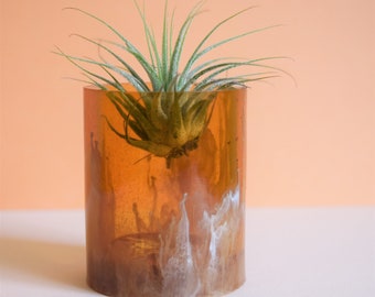 Transparent Dye Planter, Air Plant, Succulent Planter, Mini Planter, Gift, Housewarming