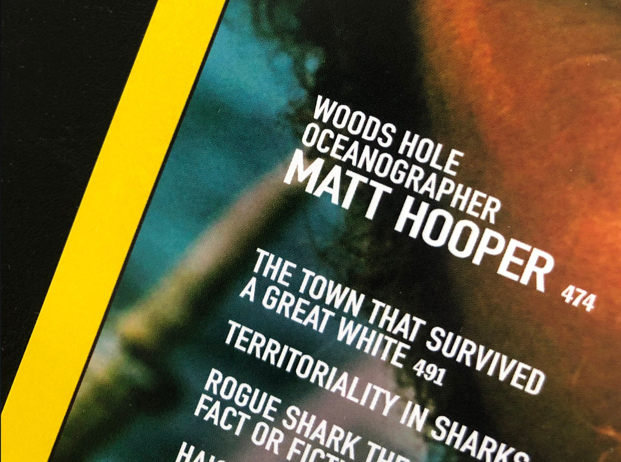 Jaws Prop Matt Hooper National Geographic Cover Amity Etsy