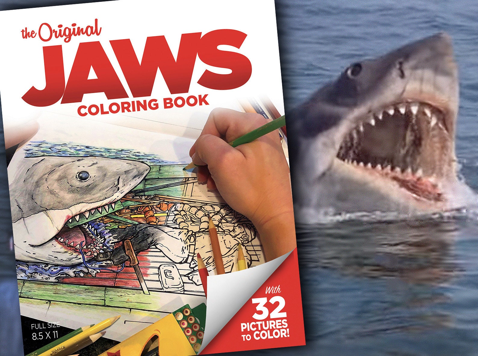 Jaws Shark Coloring Book Adult Coloring Book Quint Jaws