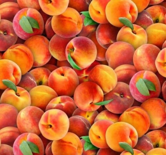 Fruit Fabric, Peach Fabric: Elizabeth's Studio Food Festival Peach Nectarines  100% cotton fabric by the yard  (ES312)