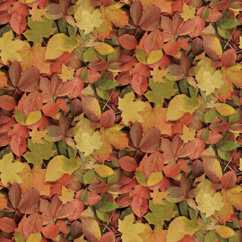 Autumn Fabric Leaves Fabric Windham Fabrics Landscape Autumn Etsy