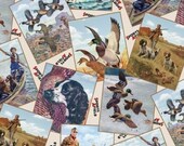 Elizabeth 39 s Studio Sports Afield 8402 Bird Hunting - German Shorthaired Pointer Dogs Mallard Ducks 100 cotton fabric by the yard (ES293)