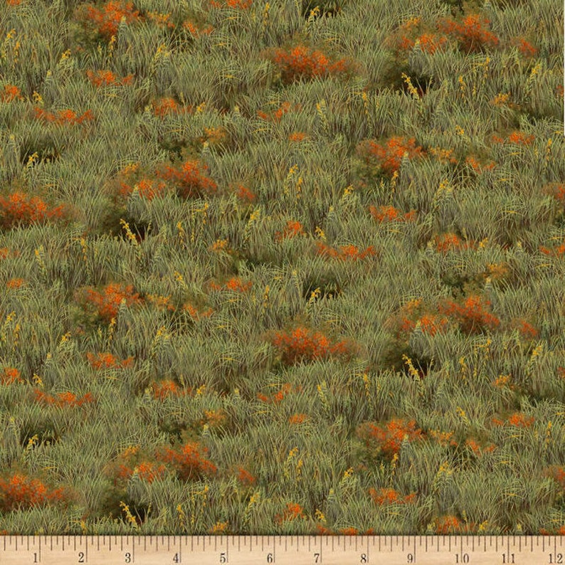 Grass Fabric Quilting Treasures Fabrics Deer Valley Fabric Etsy