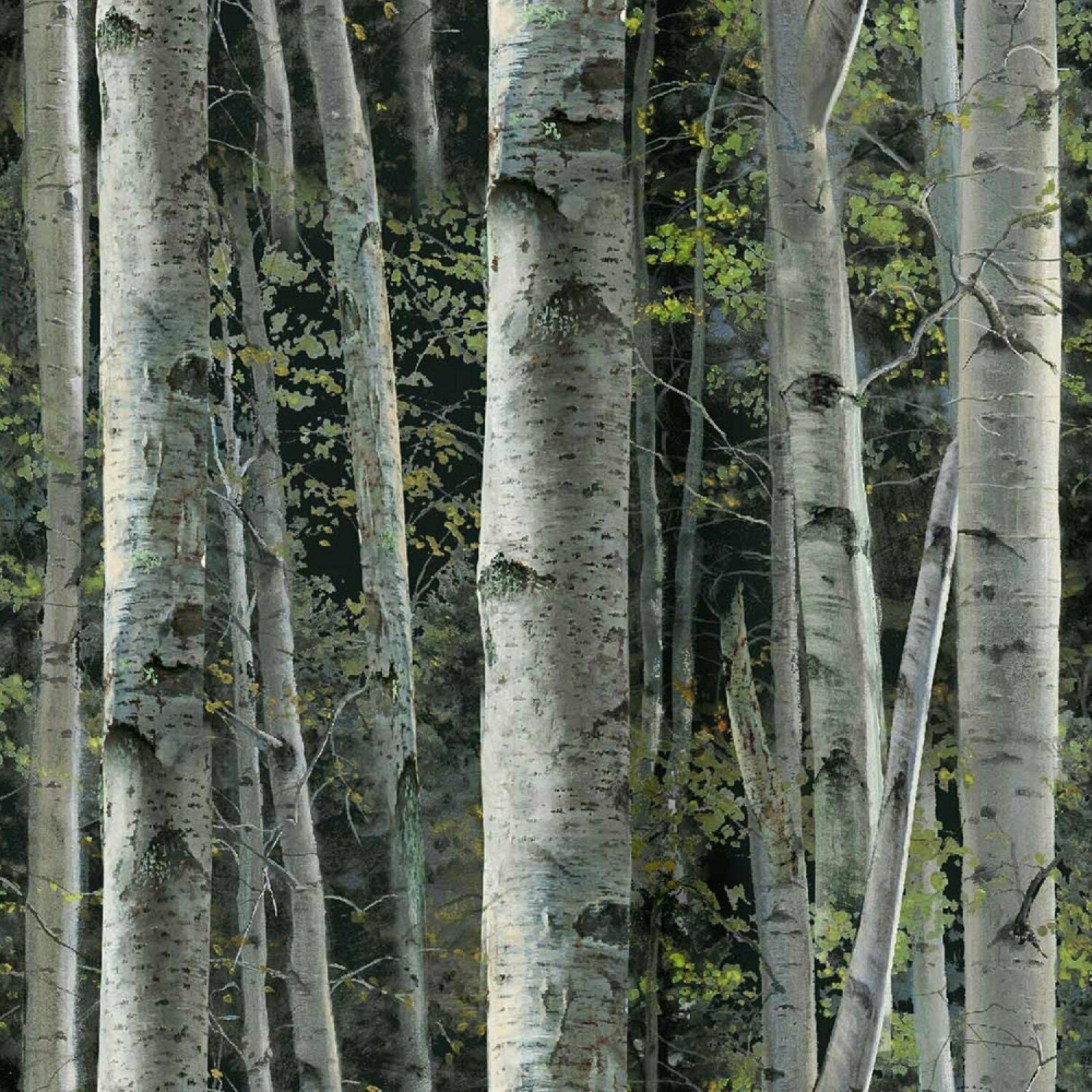 Tree Fabric: Reluctant Companion Packed Birch by Springs ...