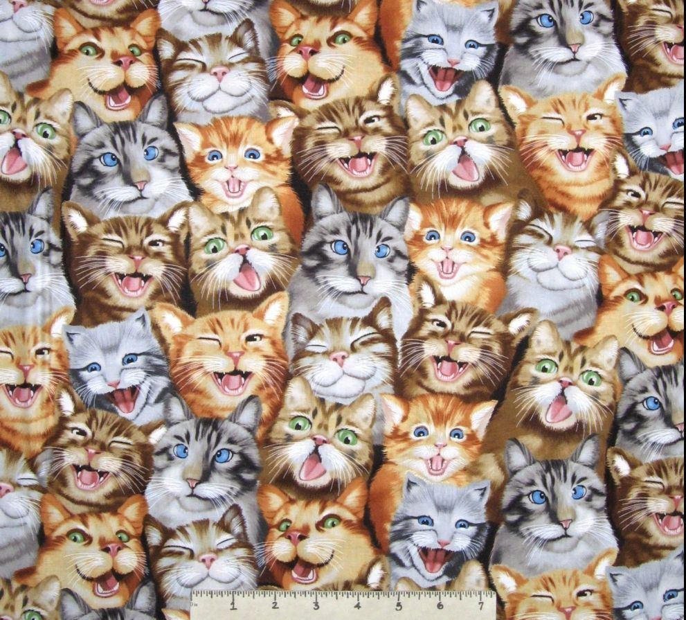 Cat Fabric, Kitten Fabric: Timeless Treasures Funny Selfie Cats Packed