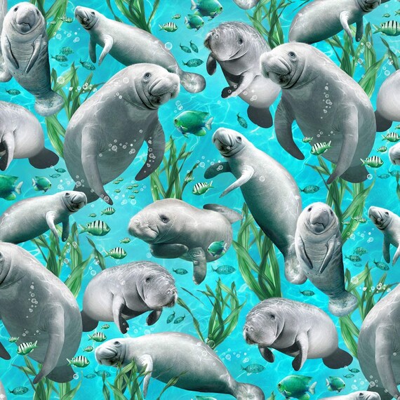 timeless treasures 100/% Cotton Swimming Manatees by the yard Fat Quarters by the yard