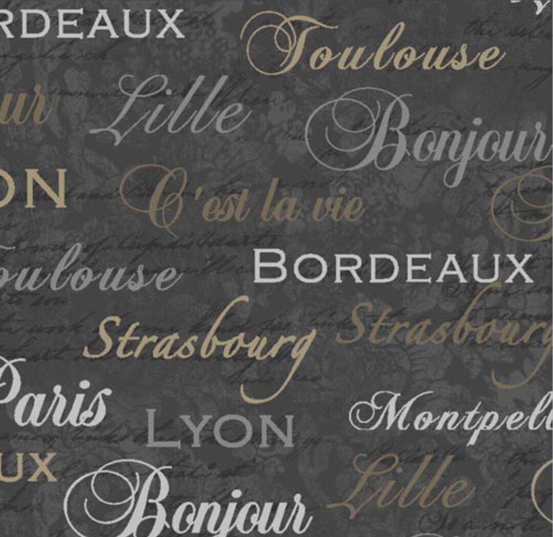 French Words Fabric Paintbrush Studio C'est La Vie Phrase Etsy