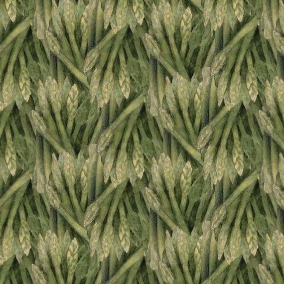 RJR Farmer/"s Market Packed Asparagus 100/% cotton Fabric by the yard