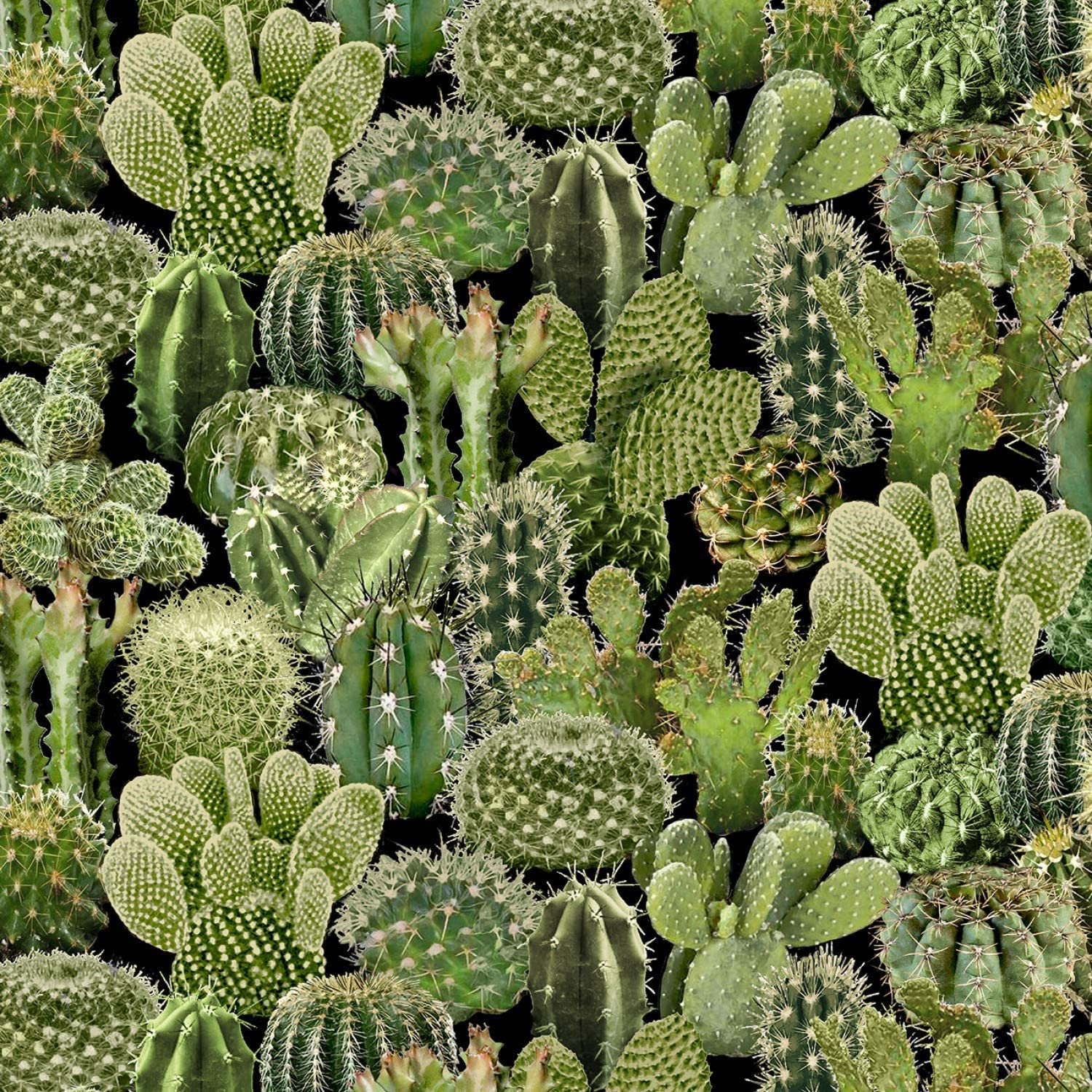 Cactus Fabric Timeless Treasures Southwest Cacti Green Etsy Singapore