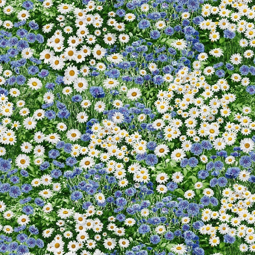 Cornflowers Fabric Daisy Fabric: Timeless Treasures Blue - Etsy