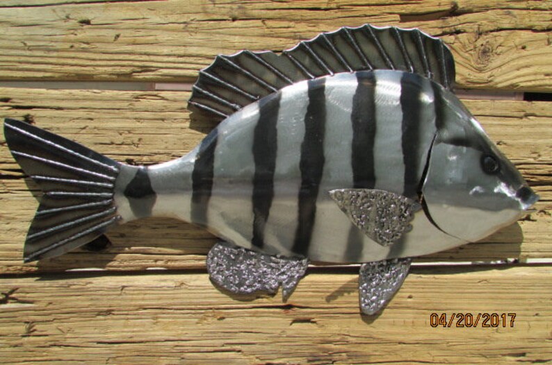 Sheepshead Fish/Metal Fish Sculpture/Metal Fish/Hanging Wall Etsy
