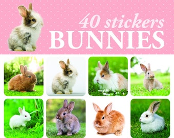 Bunnies Stickers #83796