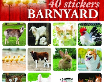 Barnyard Stickers  #63904